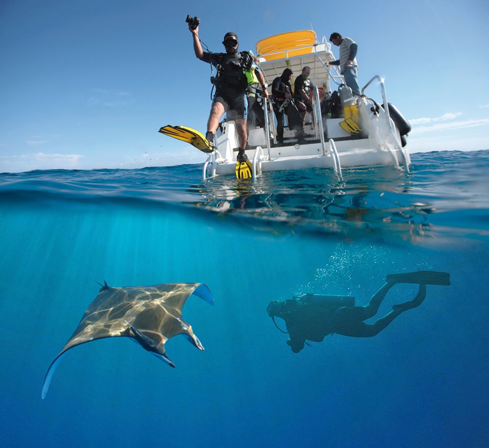 Manta raya · buceo